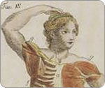 Fondo Alfieri